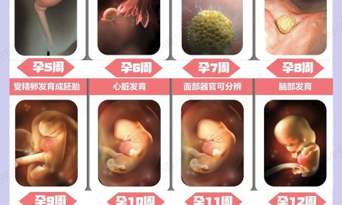 着床期间吃了999感冒冲剂-【刚着床吃感冒药会流产吗 流产血是什么样】着床期间感冒可以吃小柴胡吗 - 精子着床期间喝感冒药网