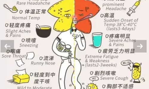 【刚着床吃感冒药会流产吗 流产血是什么样】着床期间感冒可以吃小柴胡吗 - 精子着床期间喝感冒药网